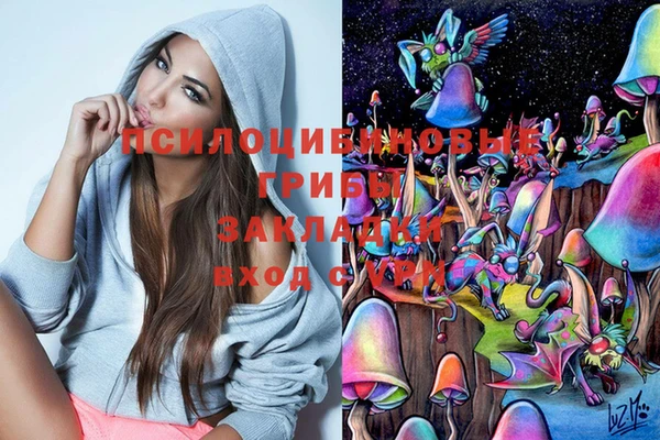 сатива Няндома