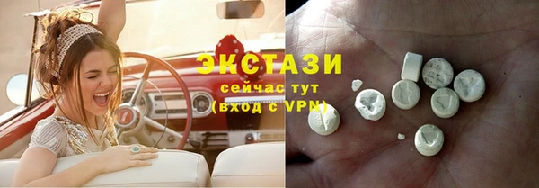 сатива Няндома