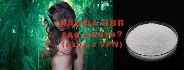 прущие грибы Нязепетровск