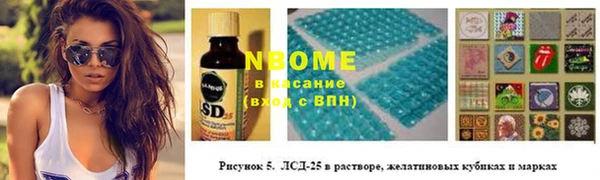 сатива Няндома