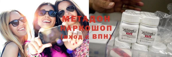 сатива Няндома