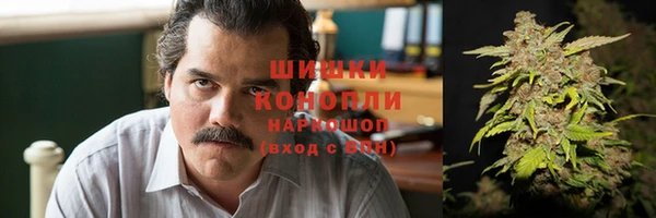 сатива Няндома