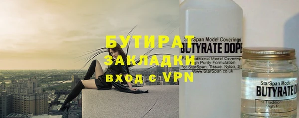 сатива Няндома