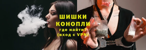 сатива Няндома