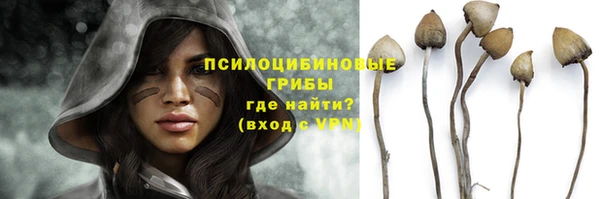 мескалин Очёр
