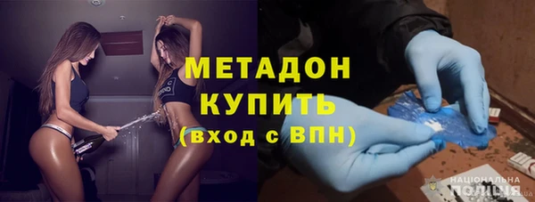 сатива Няндома