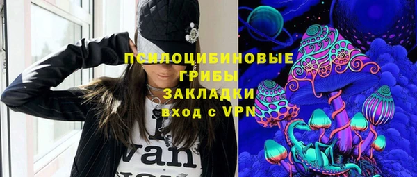 прущие грибы Нязепетровск