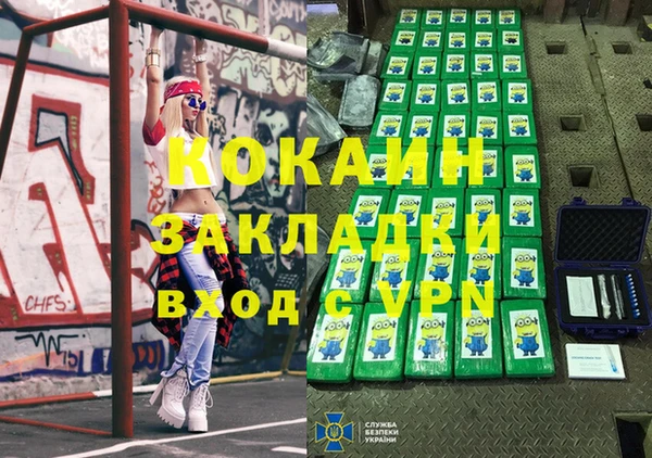 сатива Няндома