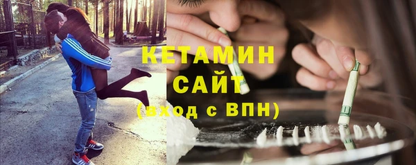 сатива Няндома