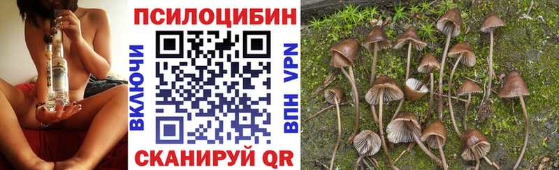 Псилоцибиновые грибы MAGIC MUSHROOMS  купить наркотик  Скопин 