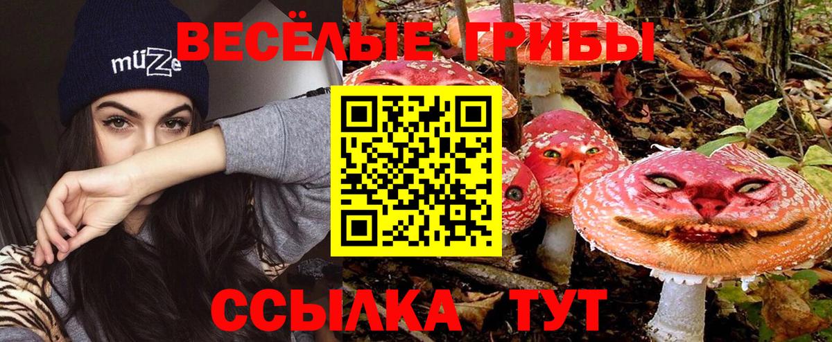 Скопин  Галлюциногенные грибы ЛСД  Галлюциногенные грибы Magic Shrooms  Вход с VPN 