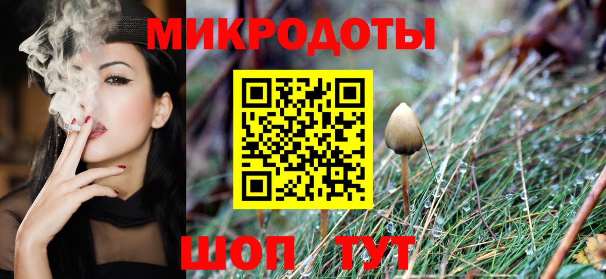Галлюциногенные грибы мицелий Скопин